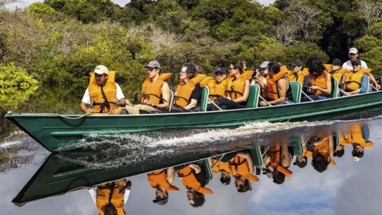Dia da Amazônia: um chamado à consciência e à preservação