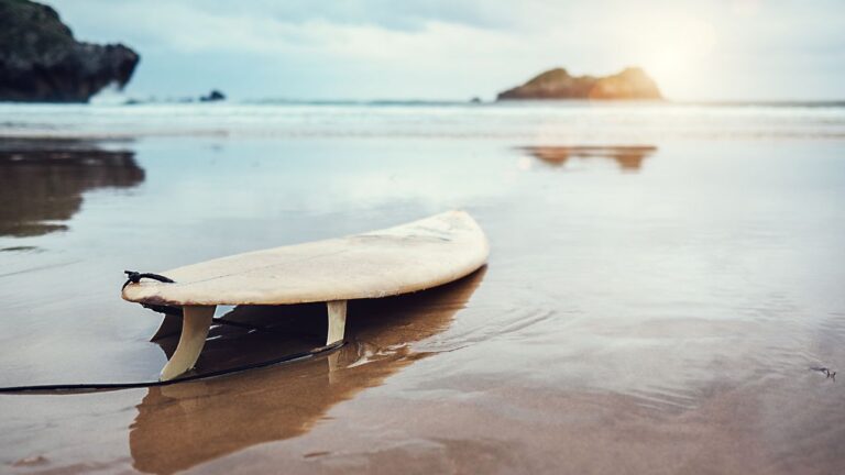 Surfista morre em ataque de tubarão na Austrália