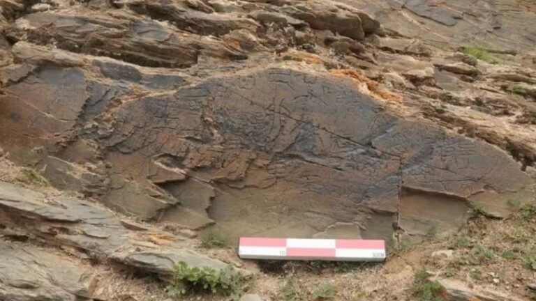 Inscrição confirma expedição de primeiro imperador da China pela imortalidade