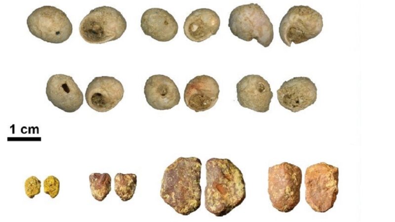 Descoberta a oficina de joias de conchas mais antiga da Europa