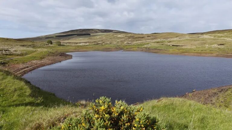 Lago que desaparece intriga cientistas na Irlanda do Norte