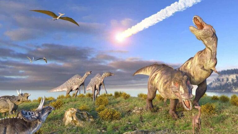 Novo estudo contesta ideia de ‘sexta extinção em massa’