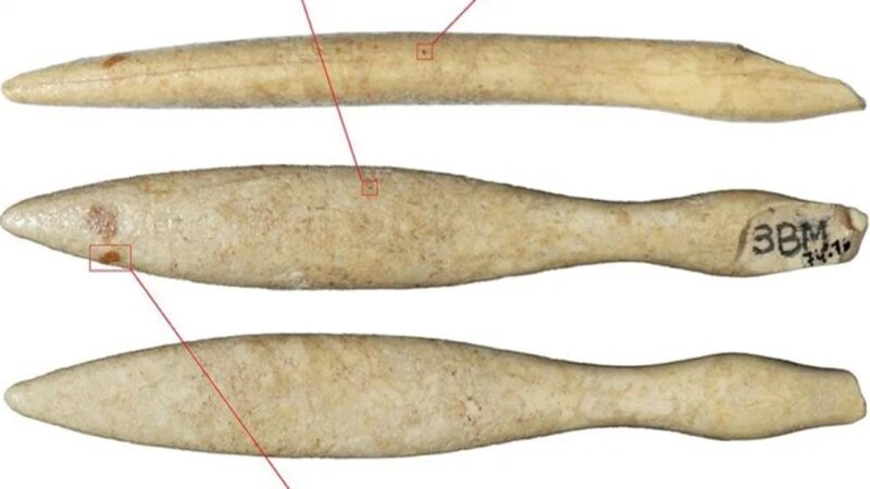 Descoberto objeto de marfim de hipopótamo mais antigo da Península Ibérica