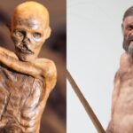 Múmia de Otzi, o Homem de Gelo, está coberta por fermento antigo, revela pesquisa