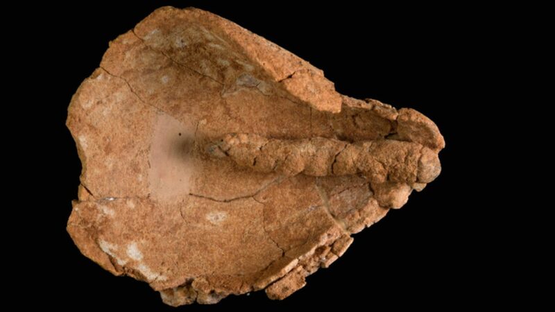 Descobertos pavios de lâmpadas de 4 mil anos em Israel