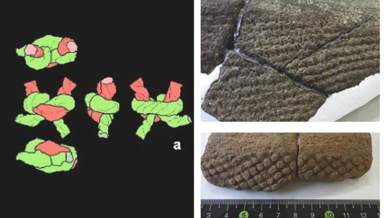 Redes de pesca japonesas pré-históricas são reconstruídas digitalmente
