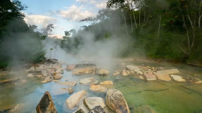 Rio na Amazônia atinge quase 100ºC e cozinha animais vivos