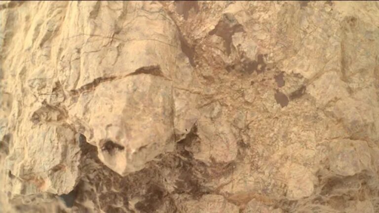 Rover da NASA registra ‘tartaruga’ misteriosa em Marte