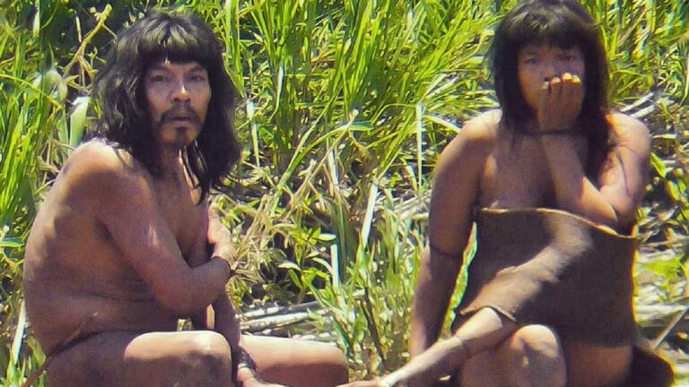 Uma das maiores tribos isoladas do mundo está em perigo