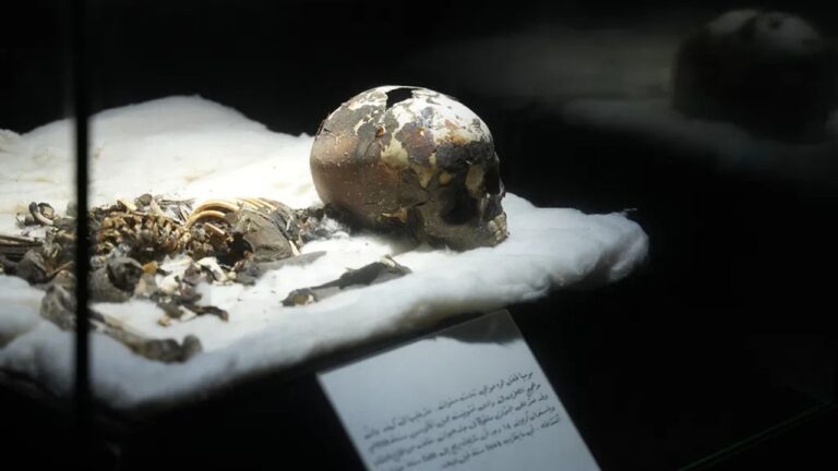 Nada de Egito: Múmia mais antiga da África é de criança que morreu há 5.400 anos na Líbia