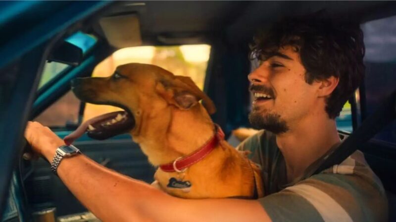 ‘Caramelo’: o cãozinho morre no final do novo filme da Netflix?