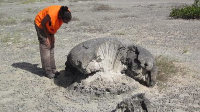 Evidências de tsunami medieval devastador indicam possível risco futuro para as Ilhas Virgens Britânicas