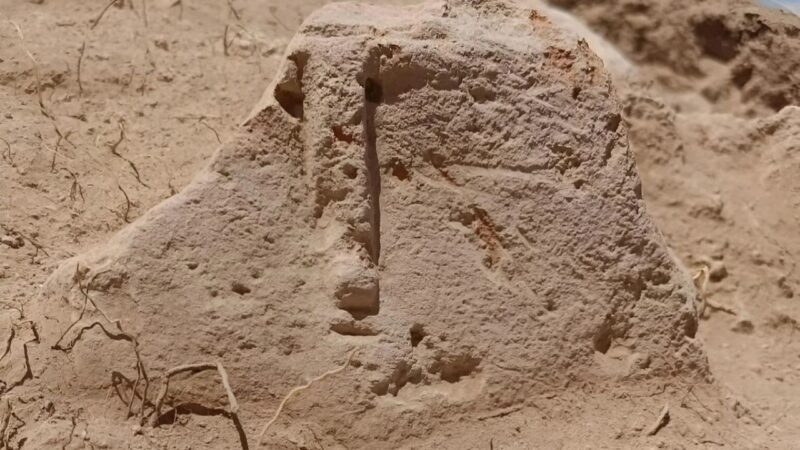 Arqueólogos encontram estatueta e cemitério de cremação em antiga cidade urartiana