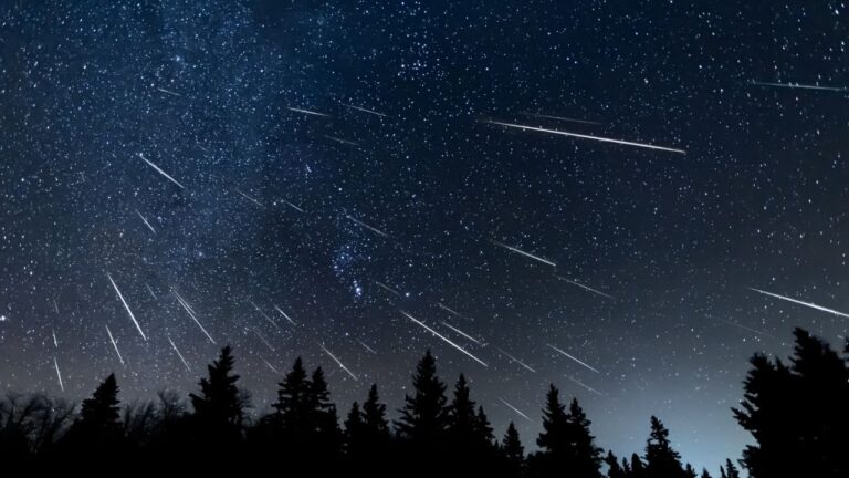 Saiba como observar chuva de meteoros que ocorre esta semana