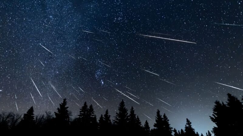 Saiba como observar chuva de meteoros que ocorre esta semana