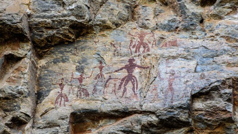 Consumo de carniça foi prática recorrente ao longo da evolução humana