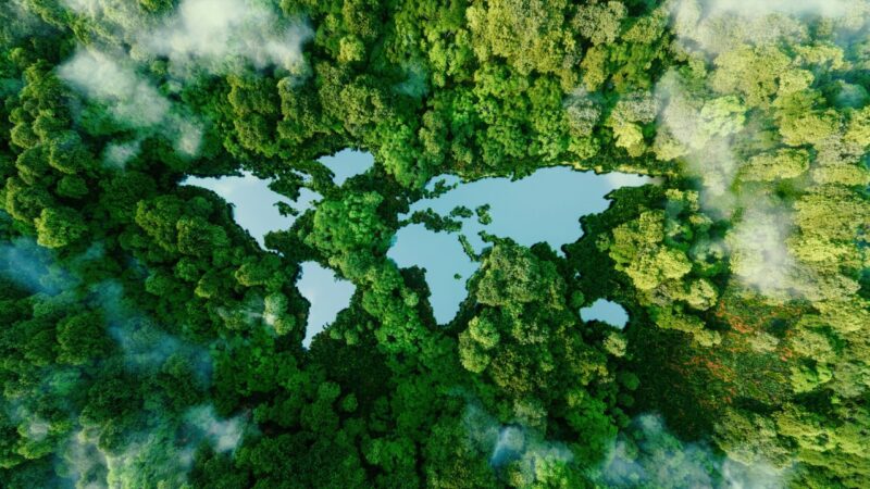 Segundo relatório, 22 dos 34 sinais vitais da Terra estão no vermelho; saiba o que isso significa!