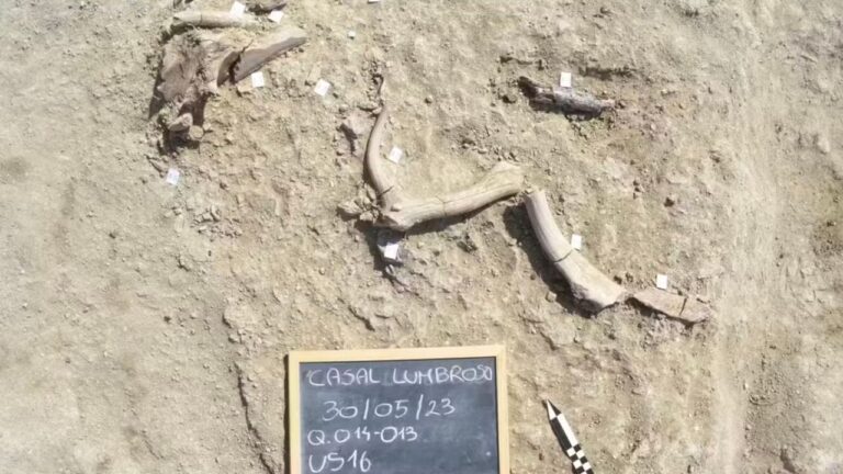 Esqueleto achado em Roma revela peculiaridades dos neandertais