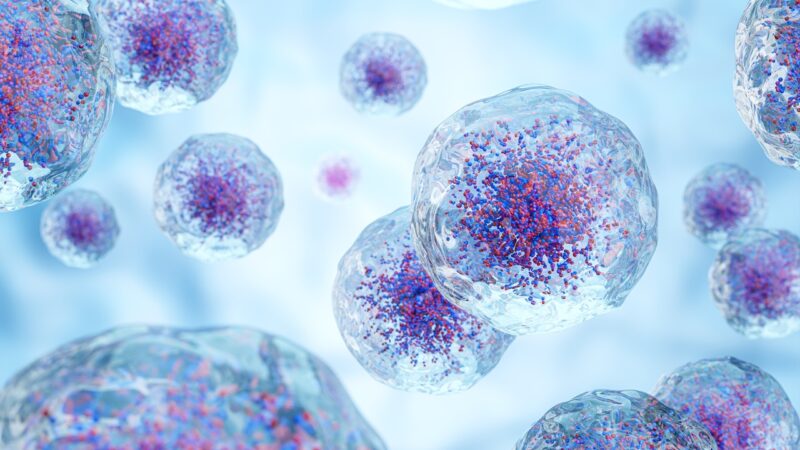 Cientistas descobrem ancestral da vida que já usava oxigênio