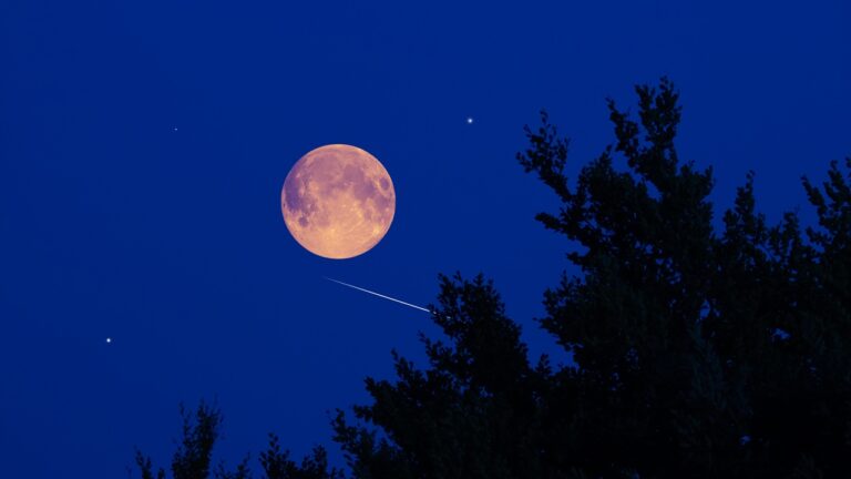 Superlua do Castor: A maior lua cheia do ano ocorre em novembro
