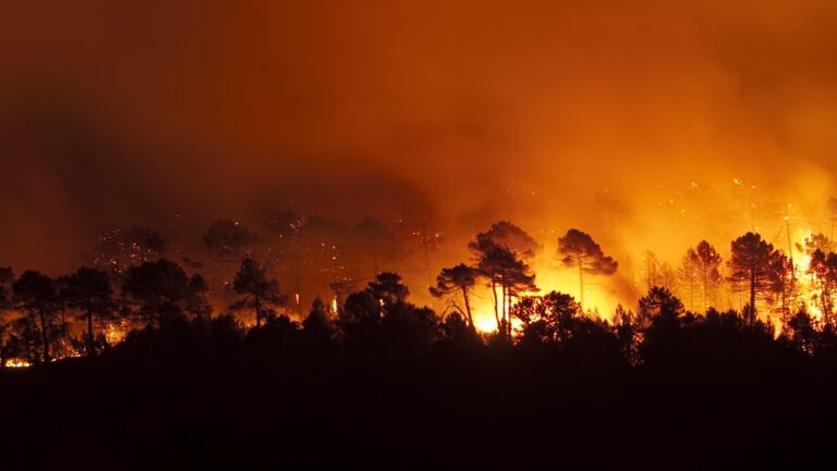 Mortes por incêndios florestais nos EUA irão aumentar até 2050