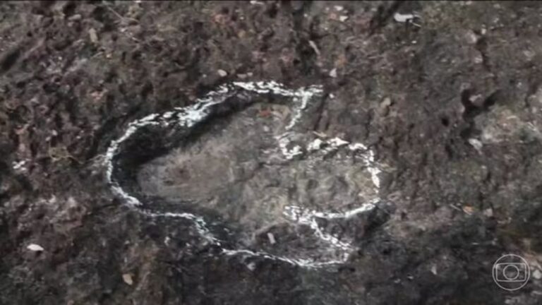Estudo descobre pegada de dinossauro na Amazônia brasileira