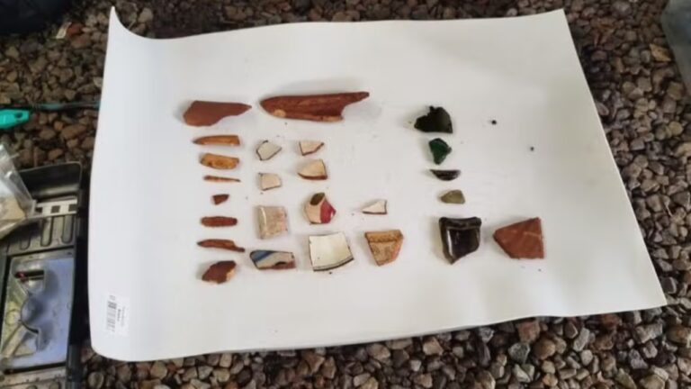Arqueólogos descobrem cemitério com ossadas de 100 mil escravizados na Bahia