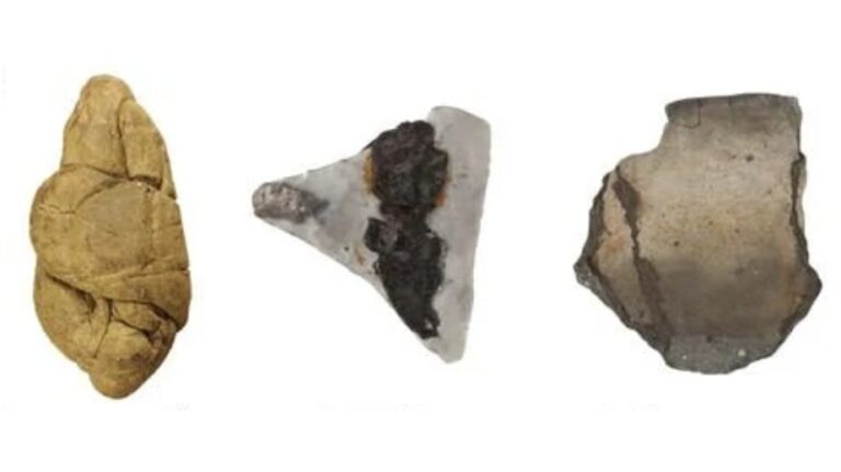 Alcatrão revela como primeiros agricultores da Europa viviam há 6.000 anos