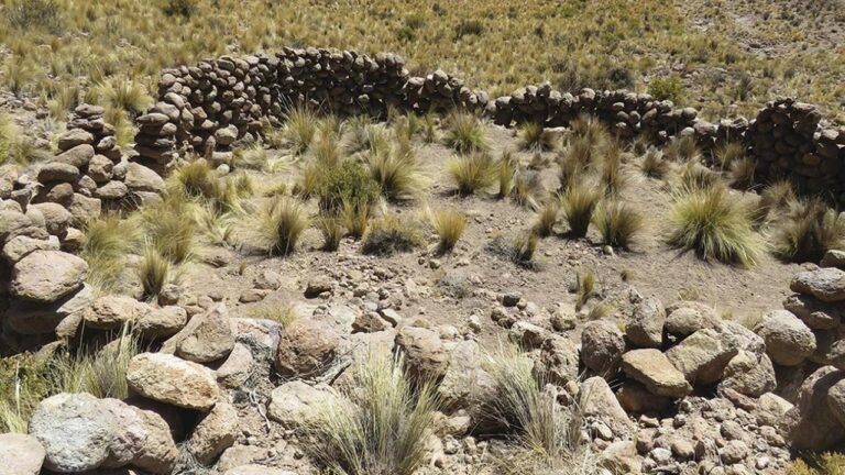 Antigas armadilhas de caça e assentamentos desconhecidos são descobertos no Chile
