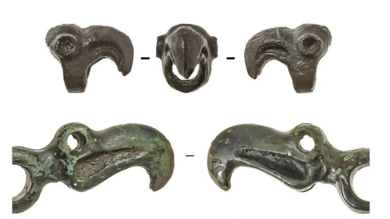 Estudo revela origens do ‘estilo animal’ da arte cita