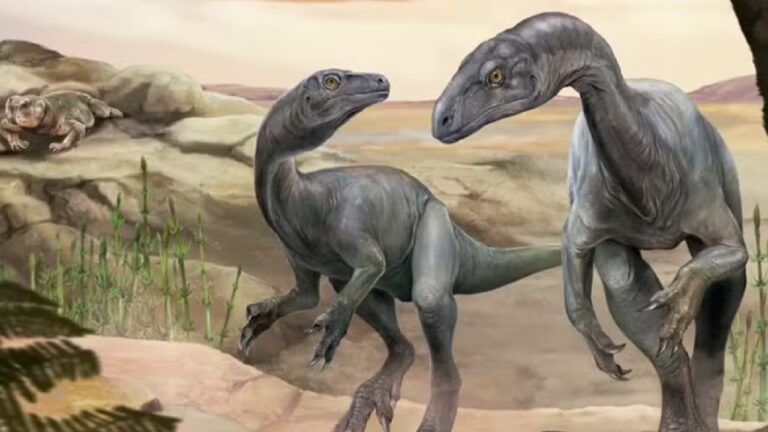 Argentinos descobrem um dos dinossauros mais antigos do mundo