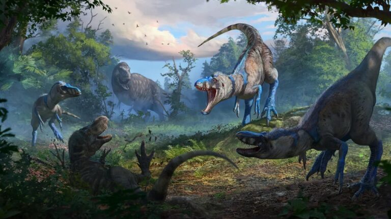 Pequenos esqueletos de ‘T. Rex’ não eram tiranossauros
