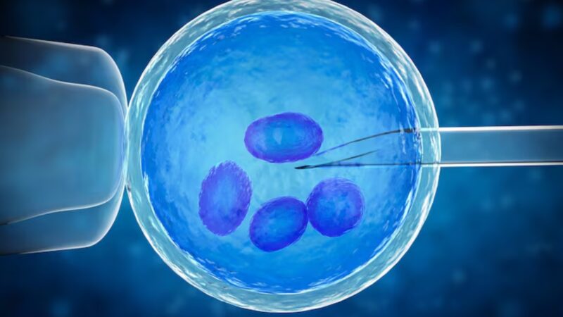 Cientistas criam embrião humano em laboratório capaz de produzir células sanguíneas