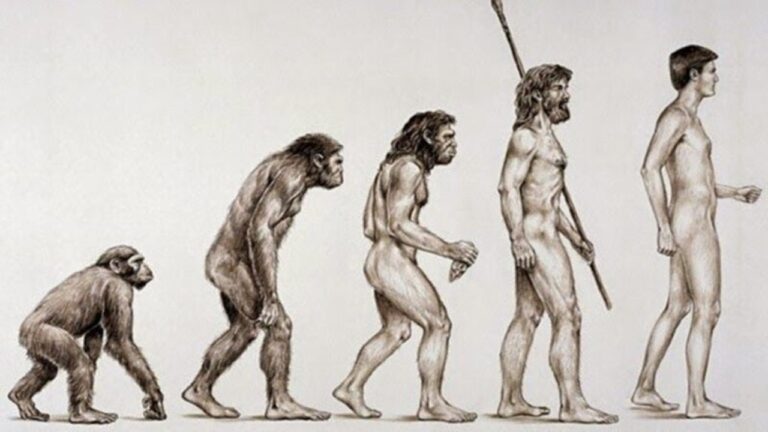 Exposição ao chumbo pode ter moldado a evolução humana