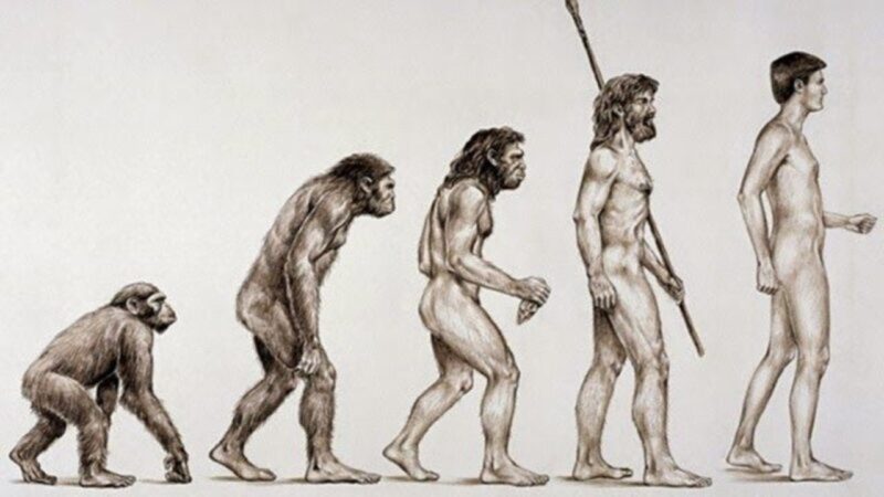Exposição ao chumbo pode ter moldado a evolução humana