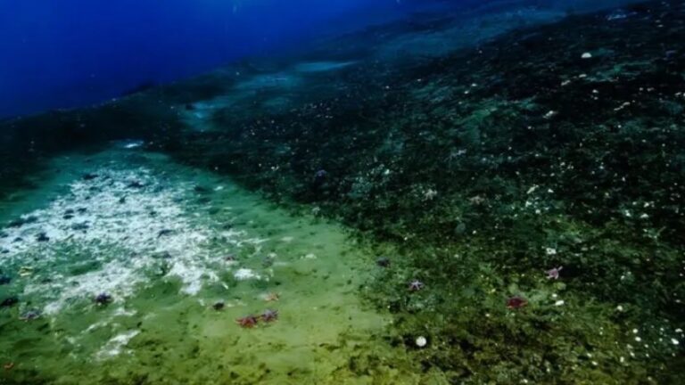 Gás do aquecimento global escapa do fundo do mar em ritmo acelerado