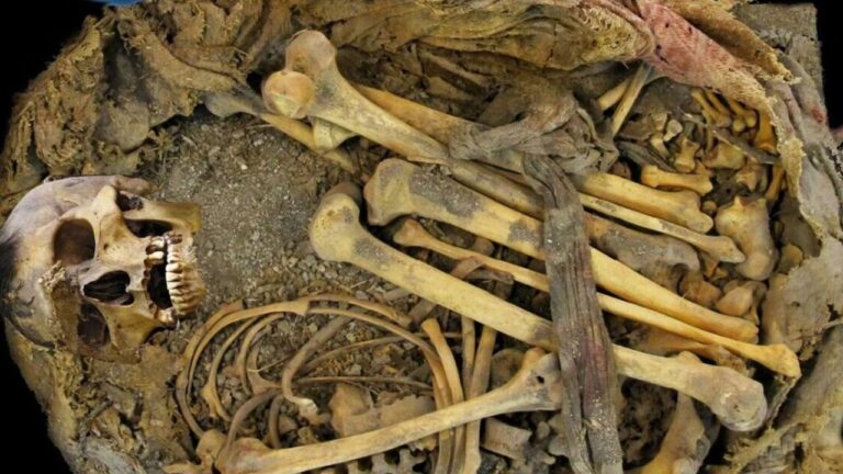 Múmia revela microbioma intestinal de 1.000 anos