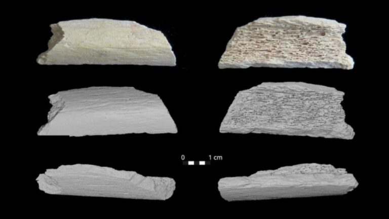 DNA revela que neandertais migraram milhares de quilômetros para a Ásia