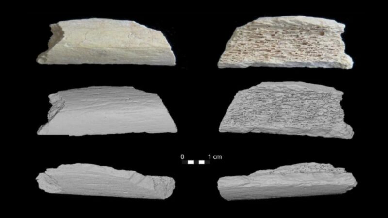 DNA revela que neandertais migraram milhares de quilômetros para a Ásia