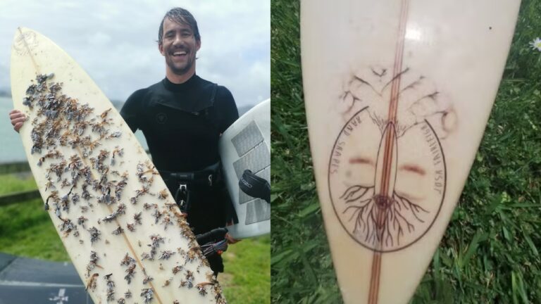 Surfista encontra prancha de surfe que viajou 2.400 km na Austrália