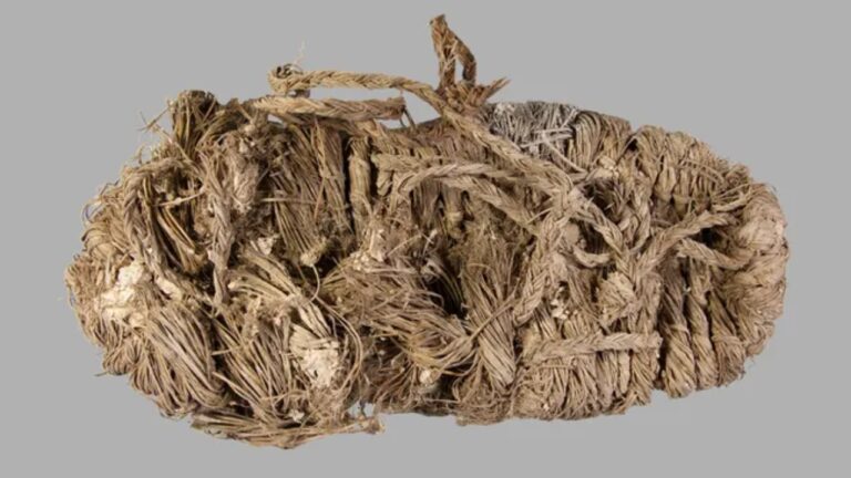 Aves arqueólogas? Sapato de 750 anos é descoberto em ninho de abutre na Espanha