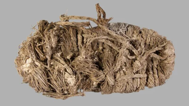 Aves arqueólogas? Sapato de 750 anos é descoberto em ninho de abutre na Espanha