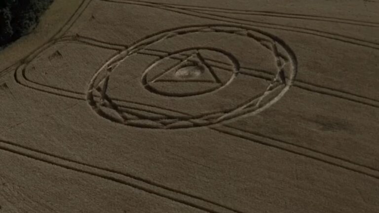 Desenho misterioso surge em plantação de Santa Catarina