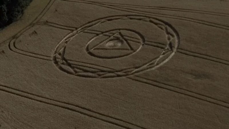 Desenho misterioso surge em plantação de Santa Catarina