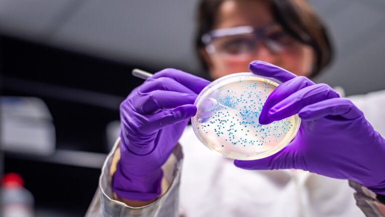 Descoberta científica inédita pode revelar nova classe de antibióticos