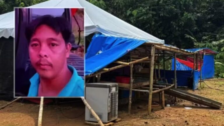 Madeireiro é morto por manada de elefantes enquanto dormia em floresta na Malásia