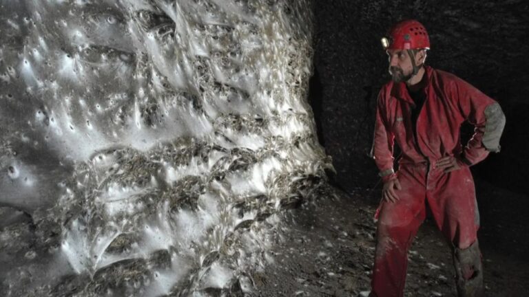 Maior teia de aranha do mundo é encontrada nas profundezas de uma caverna