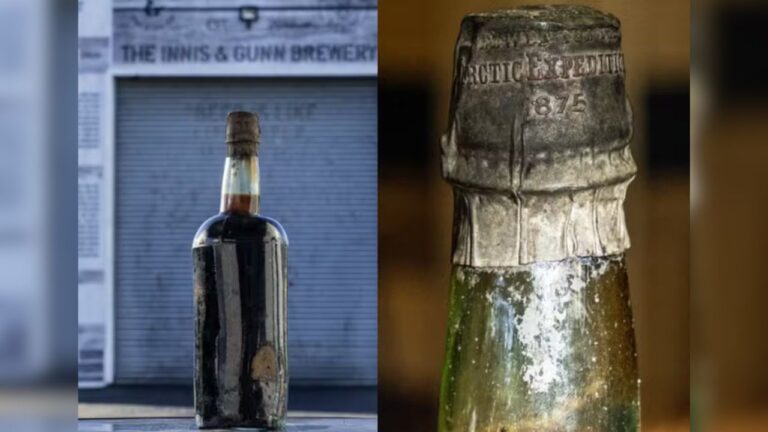 Cervejeiro planeja abrir garrafa de cerveja datada de 1875 a fim de recriar receita