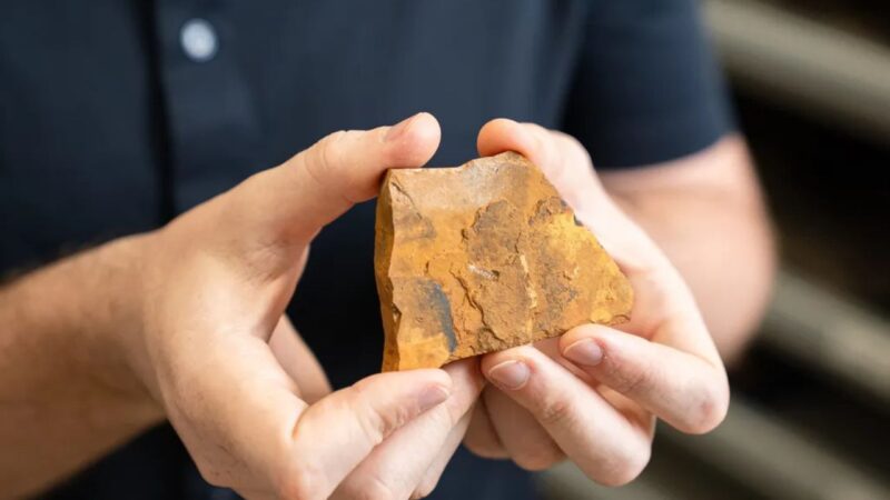 Caçador de fósseis amador descobre espécie de inseto que viveu há aproximadamente 151 milhões de anos