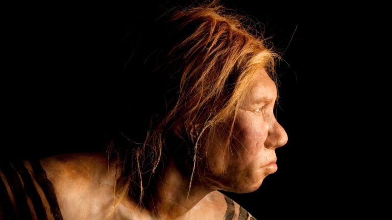 Cientistas criam som que reproduz a voz dos neandertais